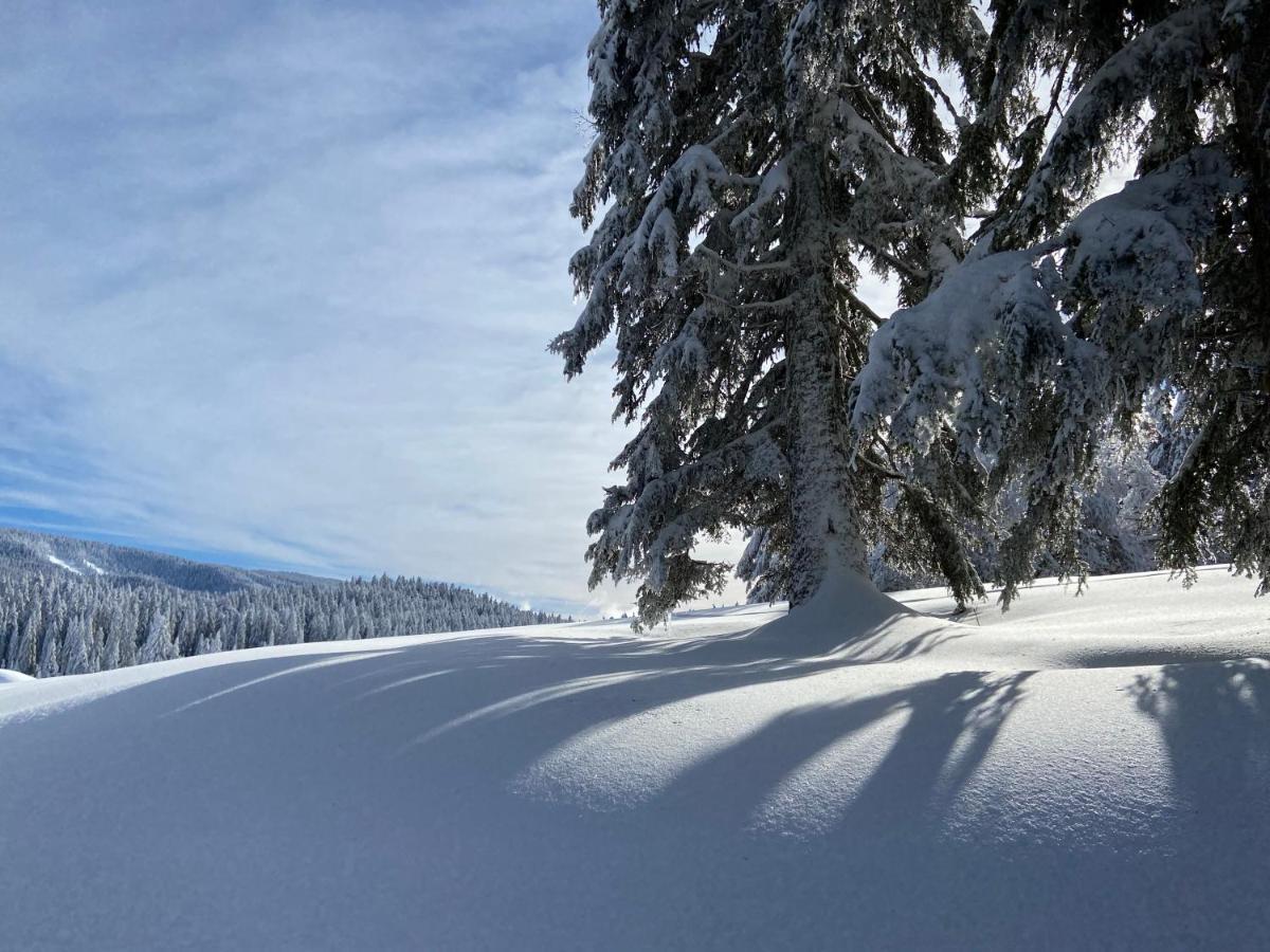 Apartmán Plénouze Autrans-Meaudre-en-Vercors Exteriér fotografie