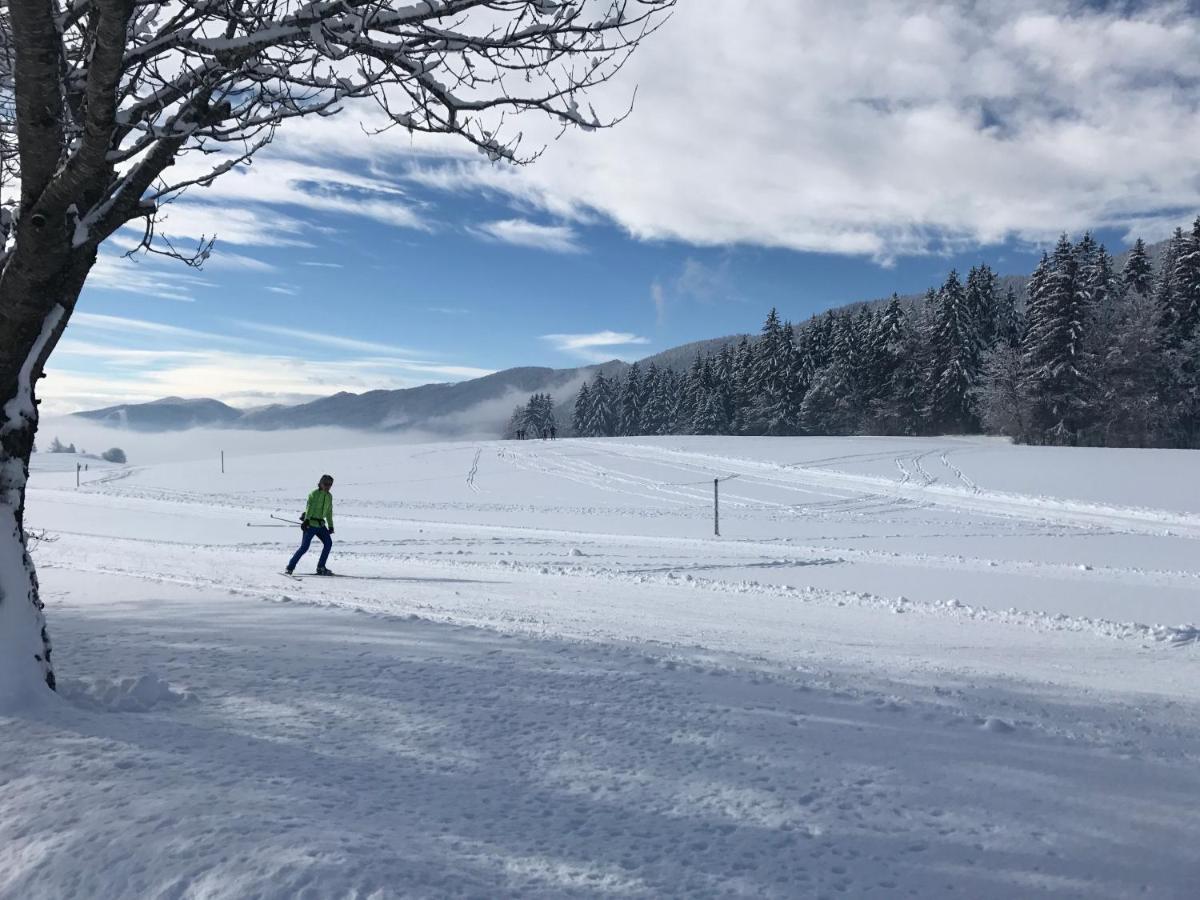 Apartmán Plénouze Autrans-Meaudre-en-Vercors Exteriér fotografie